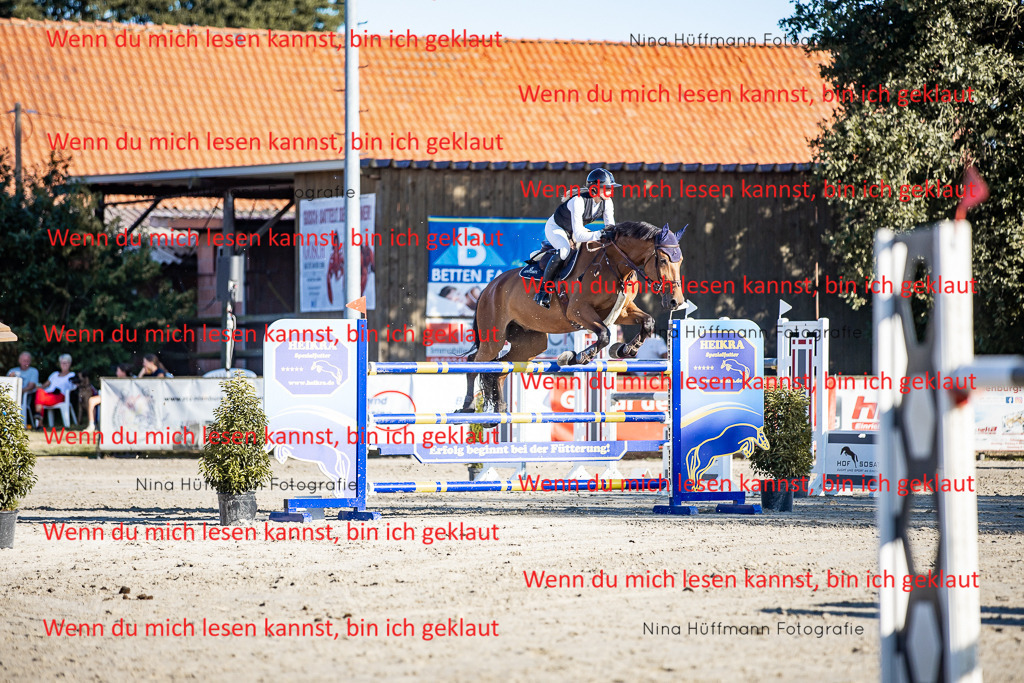 BK1A8289 | Turnierbilder Turnierfotos Nina Hüffmann Turnierfotografie Pferdefotografie Tierzeichnung Haustierzeichnung Pferdezeichnung Hundezeichnung Videograf  - Realisiert mit Pictrs.com