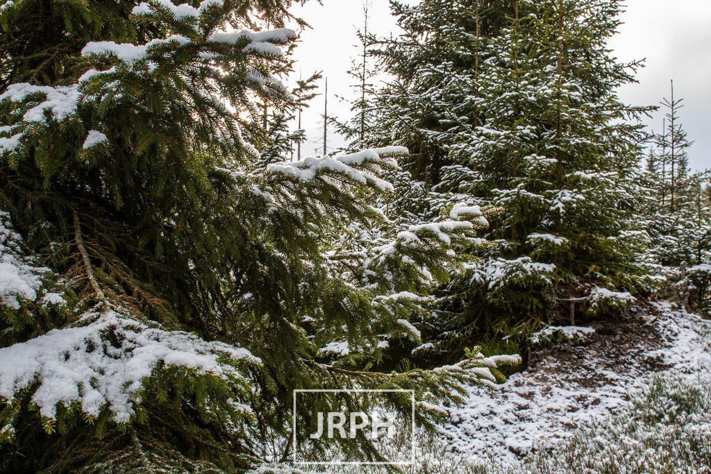 _MG_8539 | jrph - Realisiert mit Pictrs.com