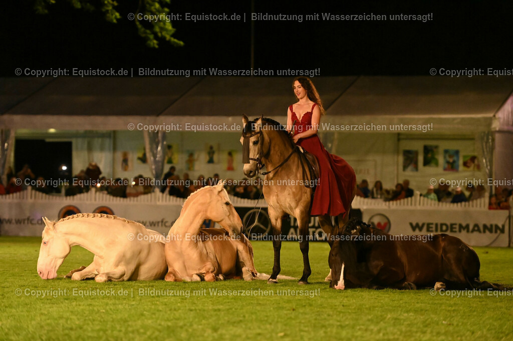20230526_Pferdenacht_1528 | equistock