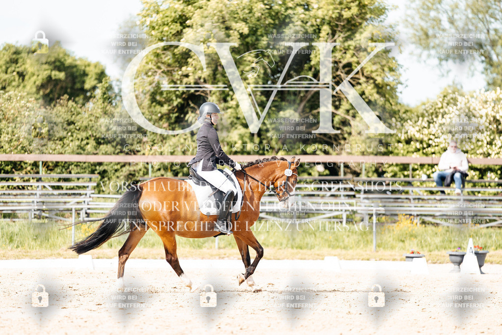 CK900519 | Turnierfotografie Pferdefotografie Trier Rheinland-Pfalz Pferdesport Reitsport Tierfotografie Sportfotografie Pferdevideo Pferdevideografie Equestrianvideography equestrianphotography  - Realisiert mit Pictrs.com