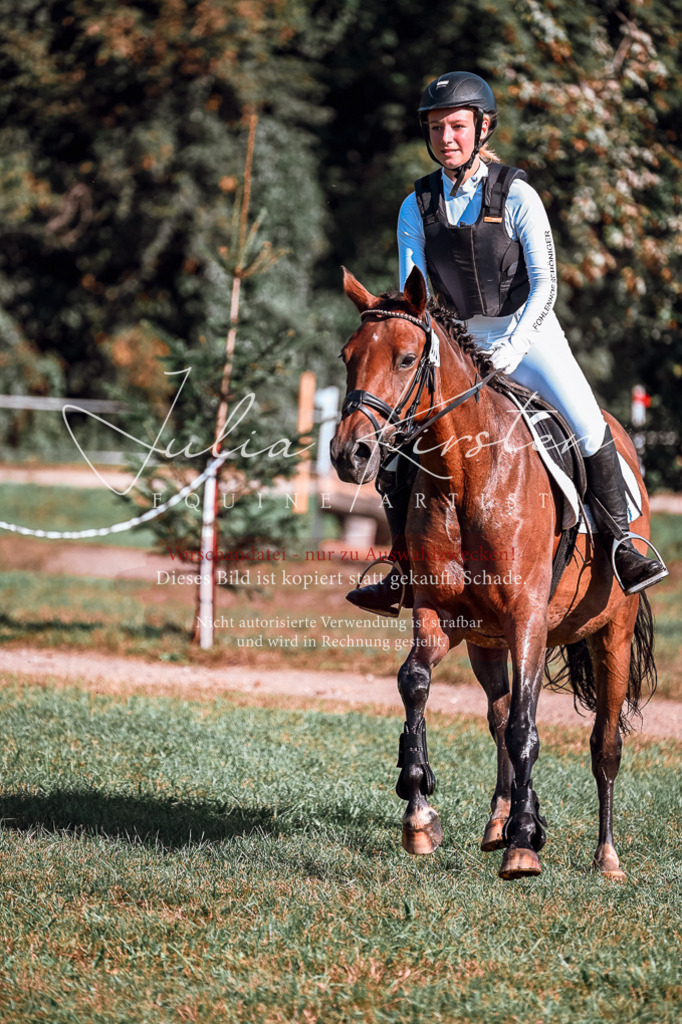 DSC_0691 | Pferde- und Turnierfotografie in Westsachsen. Pferdeportraits, Auftragszeichnungen und intuitive Kunst.