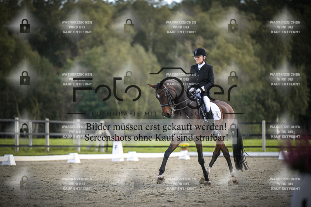 DOS_0513 | Entdecke hochwertige Reitturnierfotos von Foto Oger. Professionell, emotional und authentisch – jetzt Lieblingsmomente im Shop bestellen.Deutschlandweite Turnierfotografie. - Realisiert mit Pictrs.com