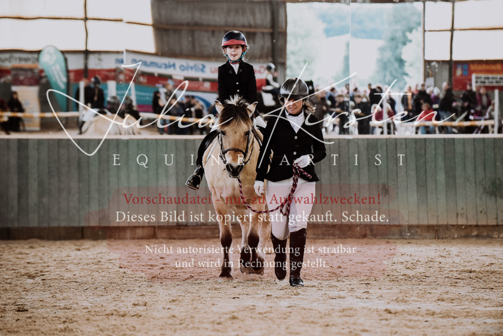 DSC_6840 | Pferde- und Turnierfotografie in Westsachsen. Pferdeportraits, Auftragszeichnungen und intuitive Kunst.