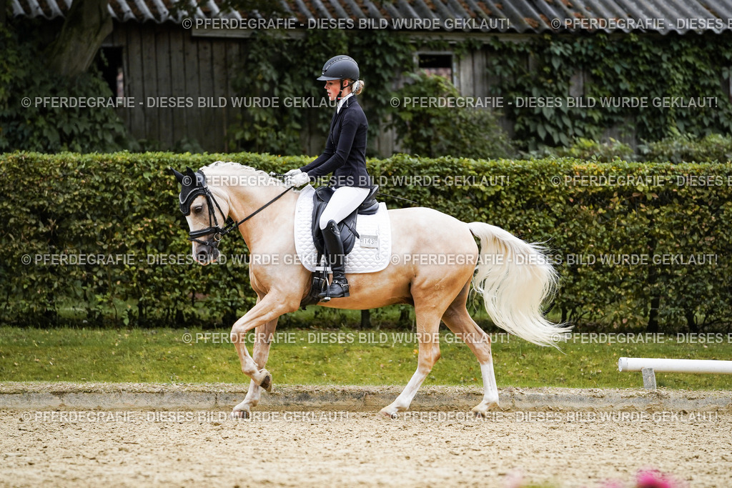 DSC02112 | Pferdegrafie