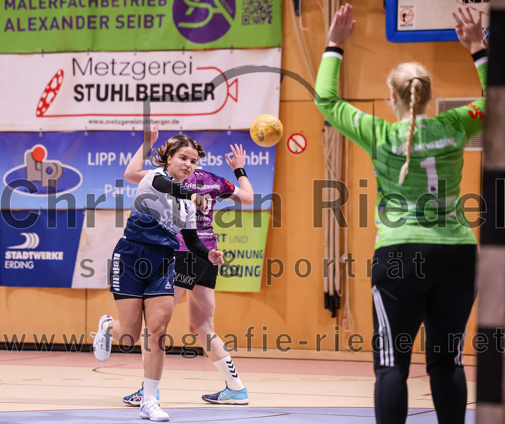 2024-11-24_041_SpVgg_Altenerding_gegen_HC_Donau-Paar_II | Erding, Deutschland, 24.11.2024:Handball, Bezirksoberliga Frauen Altbayern 2024 / 2024, 6. Spieltag, SpVgg Altenerding gegen HC Donau/Paar II, Endergebnis: 24:24Emely Otto (HC Donau/Paar, #8), Line Sophie Malerius (SpVgg Altenerding, #10), Torfrau Hanna Obermair (SpVgg Altenerding, #1)Foto: Christian Riedel / fotografie-riedel.net