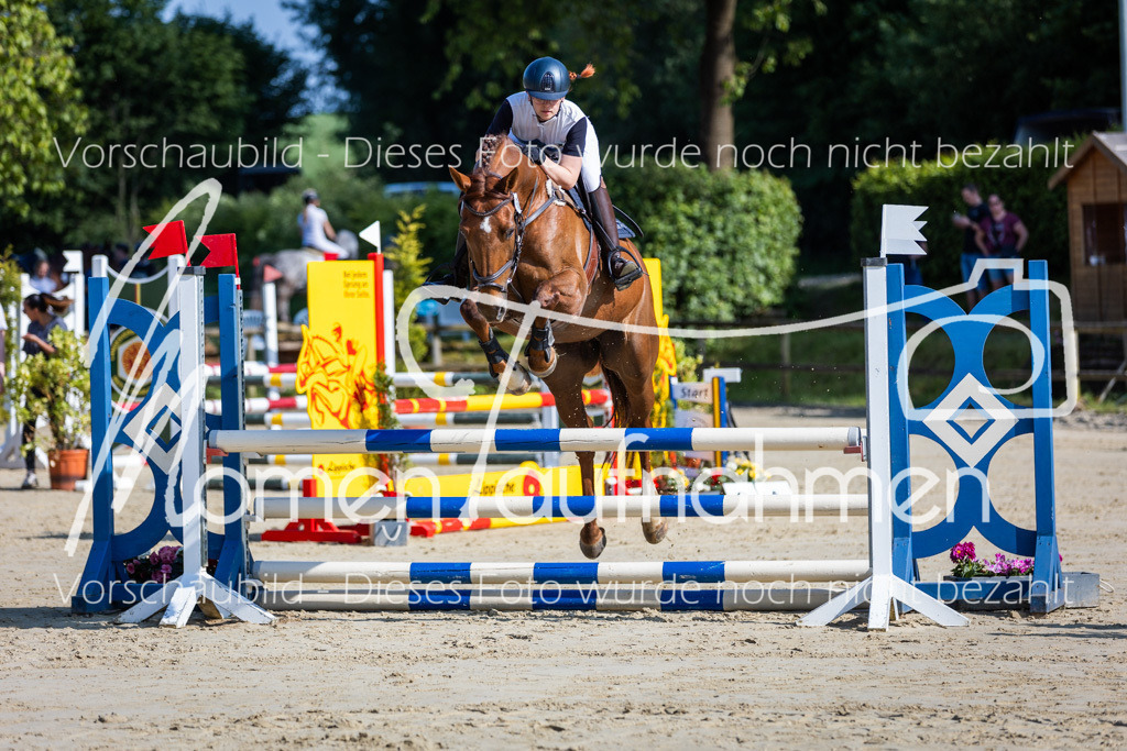 Donop24-ASpr-005 | MomenTaufnahmen Pferdesportfotos