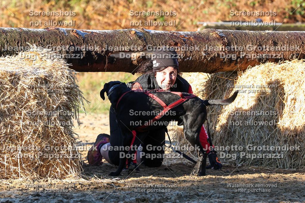 Dog Paparazzi - Strongdog 10-25-820 | Dog Paparazzi Jeanette Grottendiek Fotografie & Videografie - Realisiert mit Pictrs.com