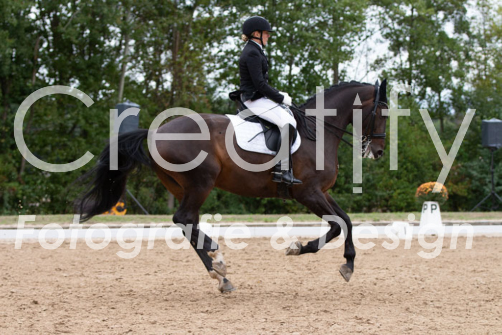 IMG_7617 | Creatify Fotografie