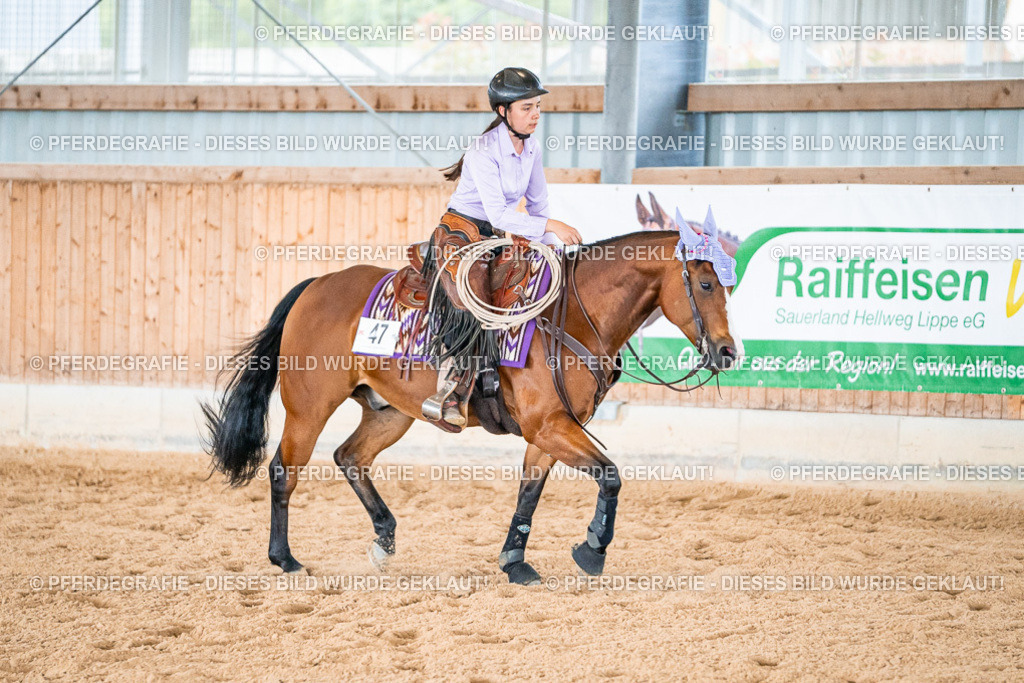 DSC09337 | Pferdegrafie