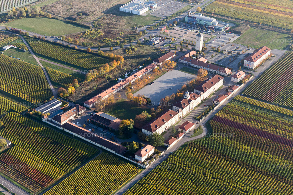 Luftbild: Le Quartier Hornbach in Neustadt an der Weinstraße im Bundesland Rheinland-Pfalz in Deutschland. Foto: IMG_095600.jpg vom 30.10.2016 durch Werner Riehm/FLY-FOTO.de