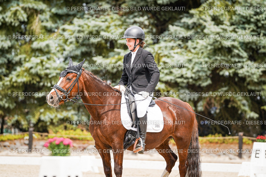 DSC04498 | Pferdegrafie