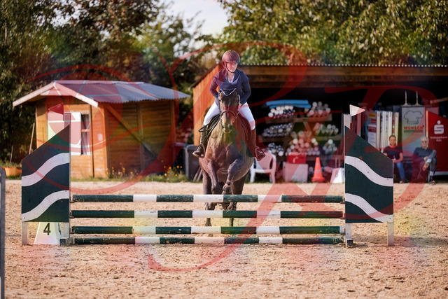 2026_10_03_Siefer-Hof_160119_Z81_82022268 | Professionelle Reitsport-, Turnier- und Eventfotografie von Robert Broda. Galerien mit ausgewählten und bearbeiteten Bildern direkt online ansehen und bestellen.