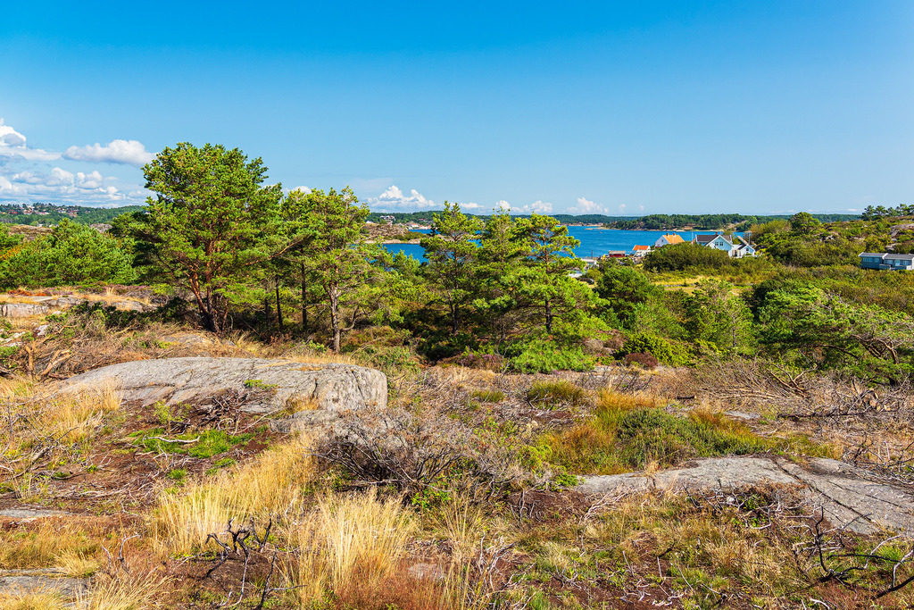 Landschaft auf der Insel Merdø bei Arendal in Norwegen | Landschaft auf der Insel Merdø bei Arendal in Norwegen.