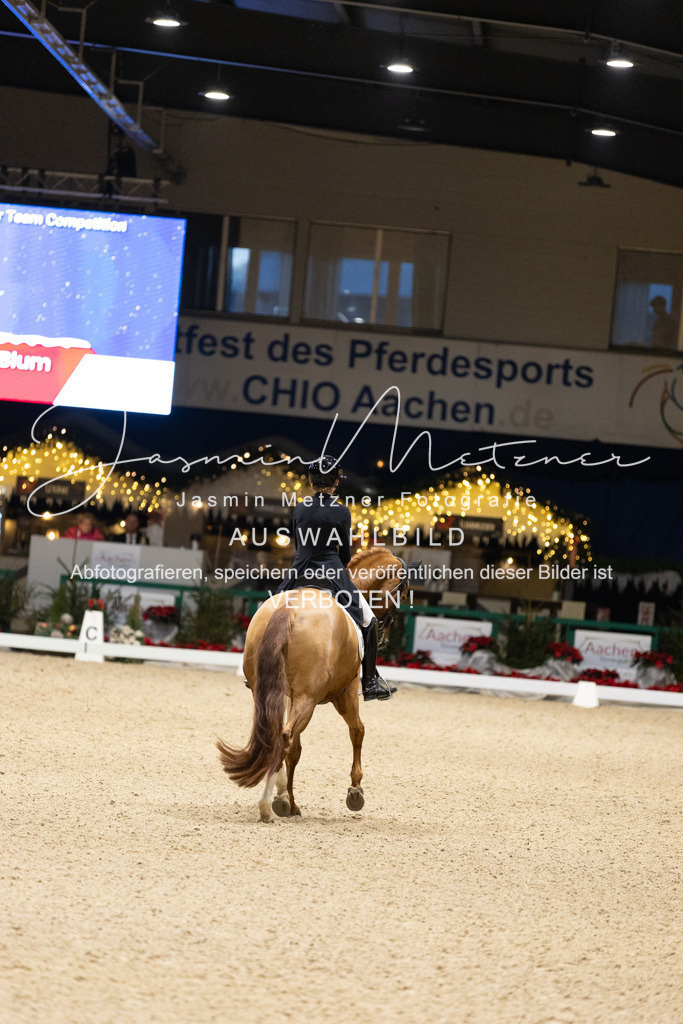 126A8167 | jasminmetznerfotografie