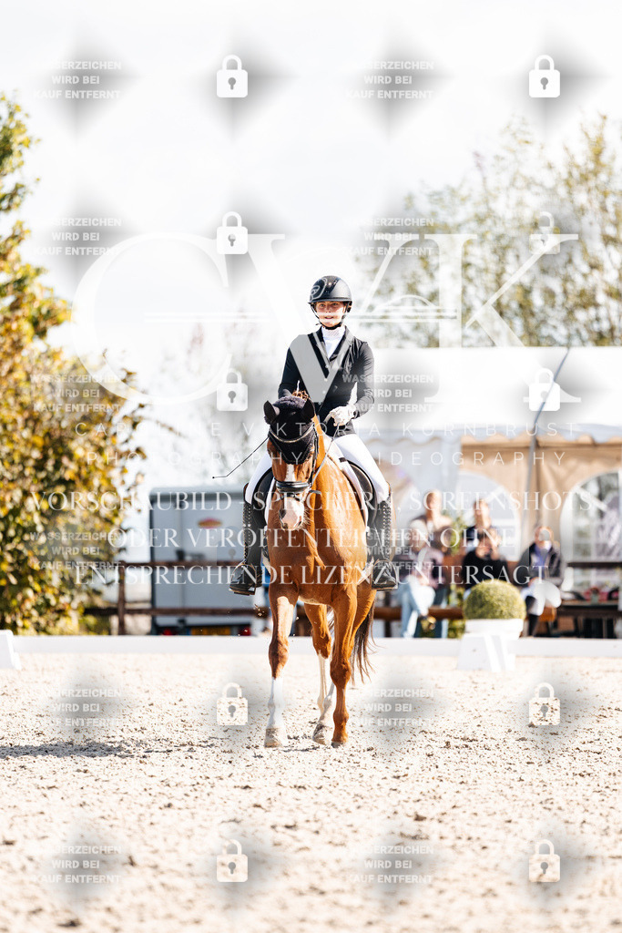 CK902245 | Turnierfotografie Pferdefotografie Trier Rheinland-Pfalz Pferdesport Reitsport Tierfotografie Sportfotografie Pferdevideo Pferdevideografie Equestrianvideography equestrianphotography  - Realisiert mit Pictrs.com