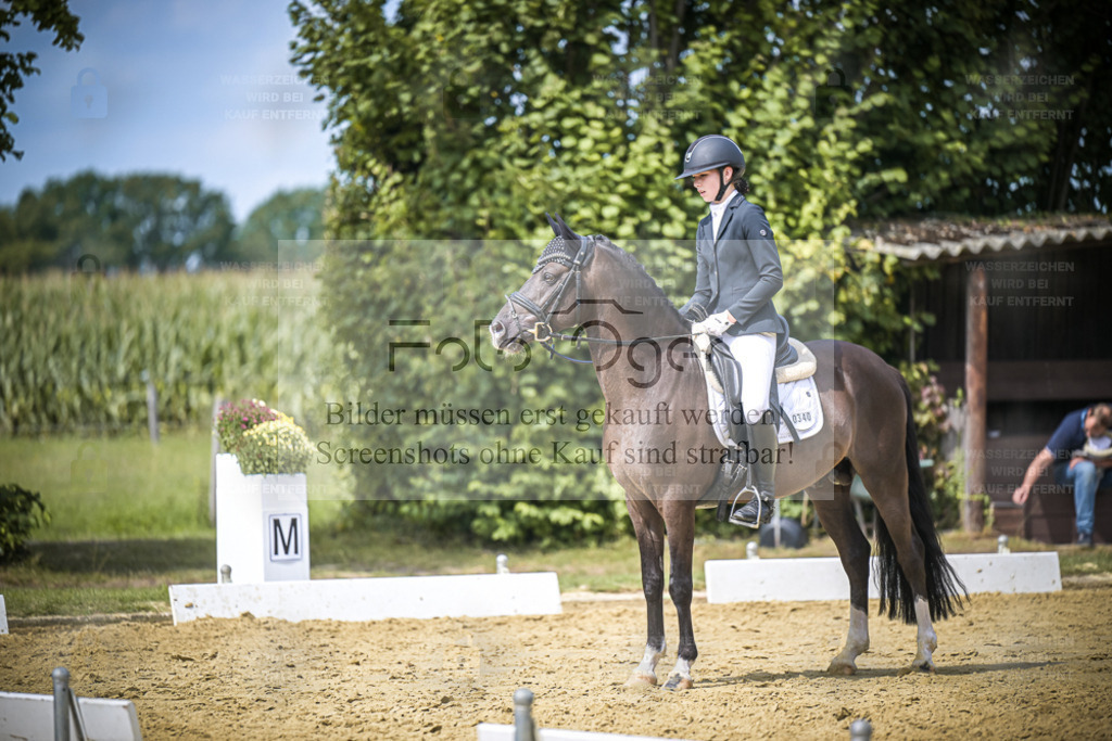 DOS_4052 | Entdecke hochwertige Reitturnierfotos von Foto Oger. Professionell, emotional und authentisch – jetzt Lieblingsmomente im Shop bestellen. - Realisiert mit Pictrs.com