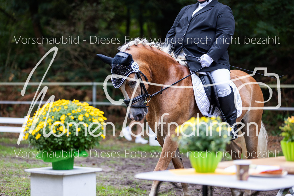 HB-A-Dressur-107 | MomenTaufnahmen Pferdesportfotos