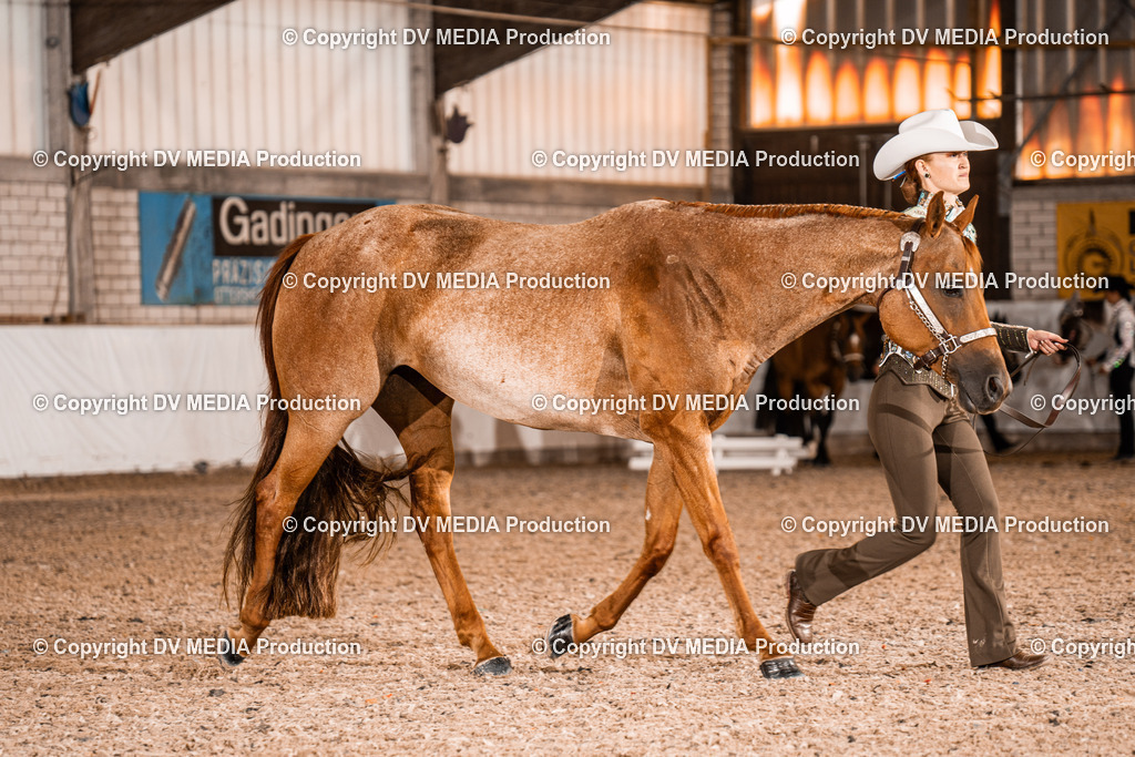 ZH100019 | dv-media-shop - Realisiert mit Pictrs.com