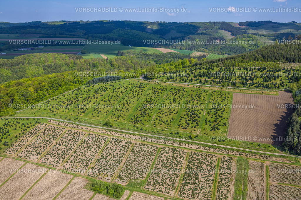 Bestwig240502852 | Luftbild, Baumplantagen Wiesen und Felder, Waldgebiet bei Velmede, Velmede, Bestwig, Sauerland, Nordrhein-Westfalen, Deutschland