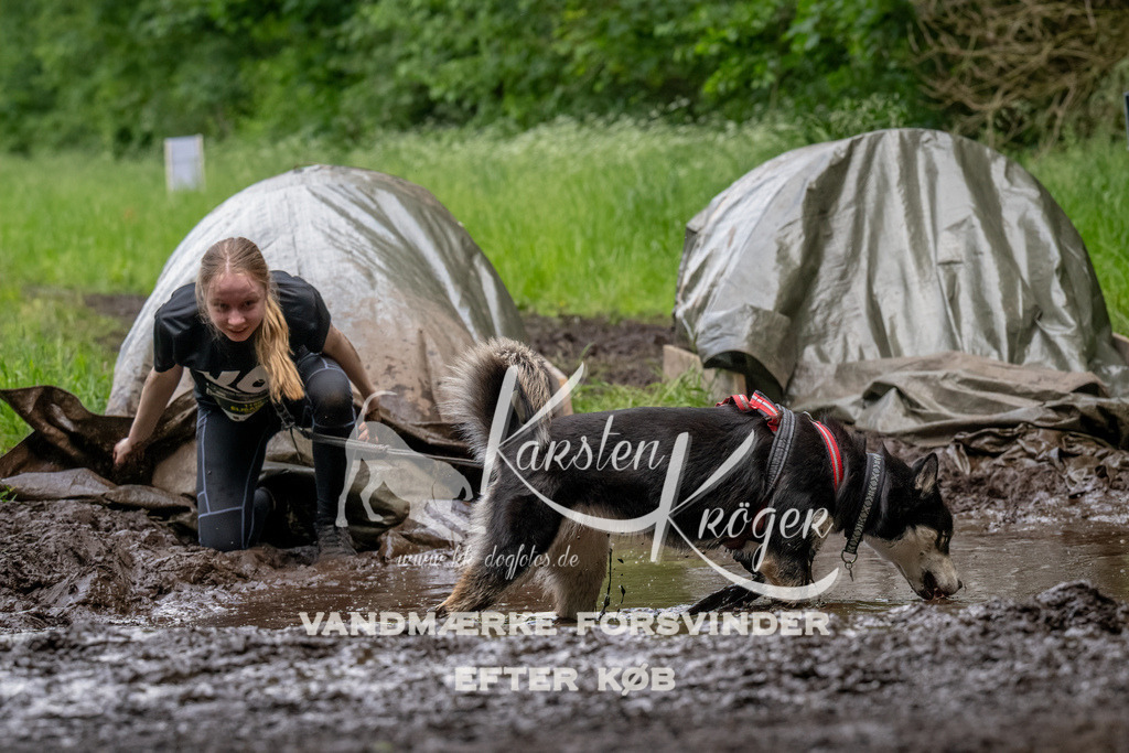 1529_ZZ93803-Bearbeitet | kk-dogfotos