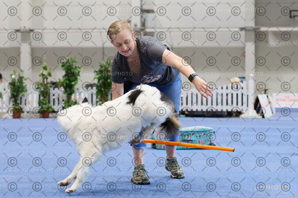 202406_ÖKV-IHA-Tulln24_DSC_4517 | proPHOTO - Realisiert mit Pictrs.com