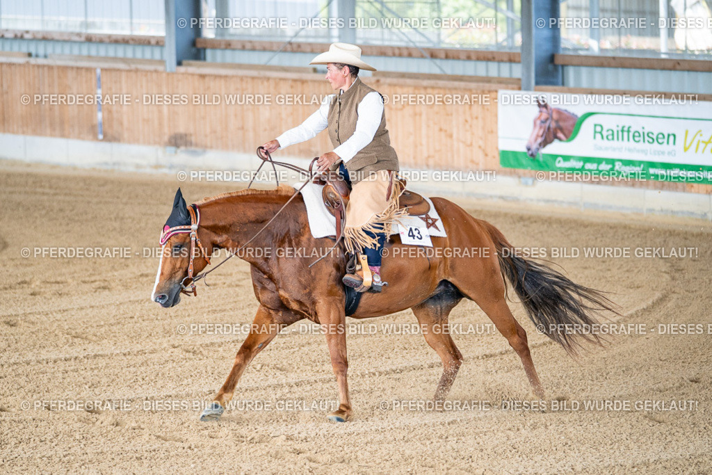 DSC01653 | Pferdegrafie