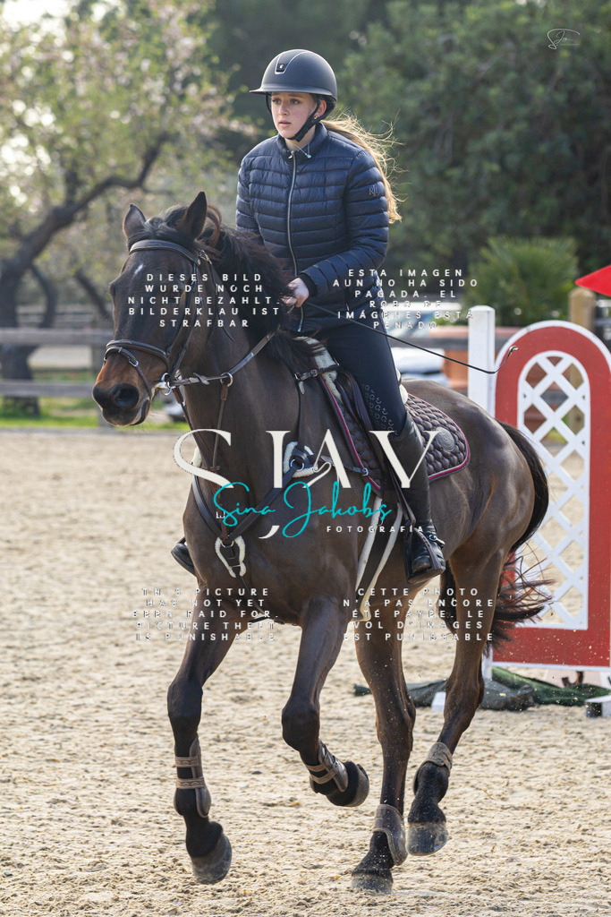 IMG_5074 | s-jay-photography - Realisiert mit Pictrs.com