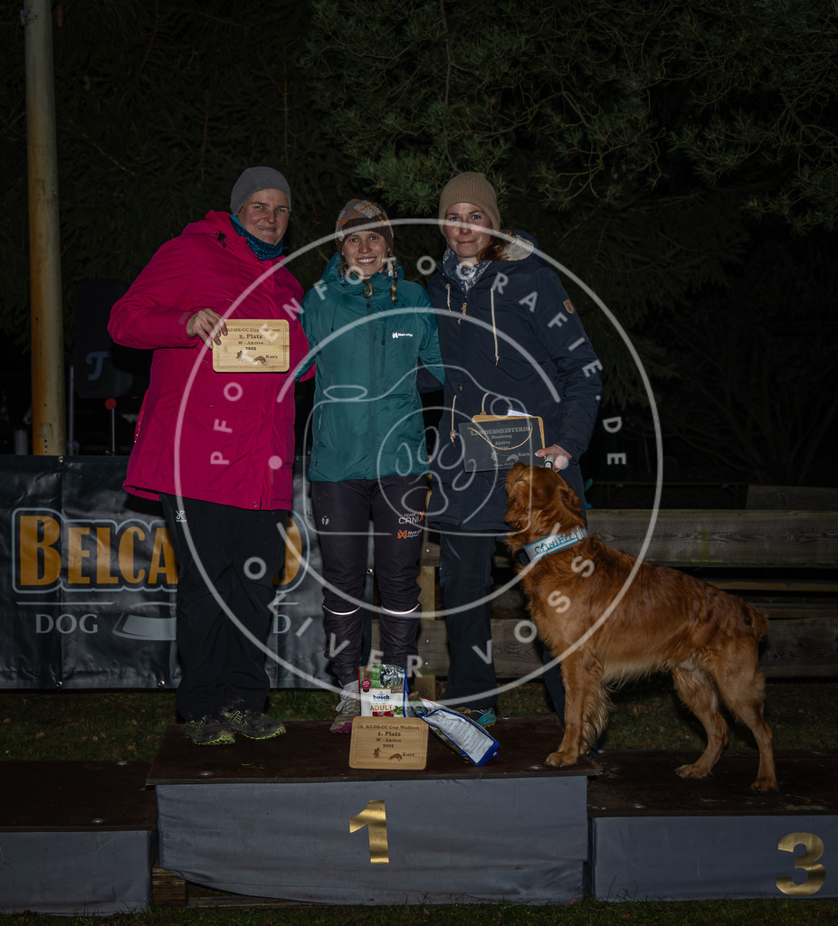 Pfotenfotografie_0L8A1940 | Hundefotografie, Tierfotograf, Pfotenfotografie, Fotoshooting Hund, Hunde Portrait, Hundesport, Hundeportraits, Heideshooting, Hunde, Sportfotograf, Hundefotograf, Turnierhundsport, THS,  - Realisiert mit Pictrs.com