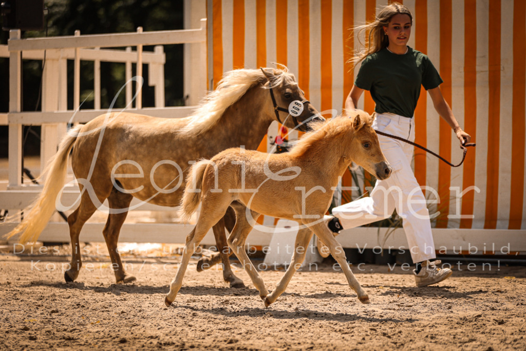 02.DoSR00045 | Leoni Ertmer Photography - Realisiert mit Pictrs.com