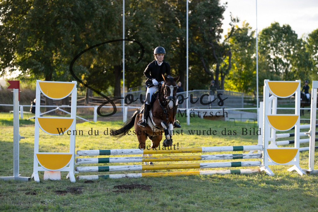 A7V06212 | Pferdefotograf