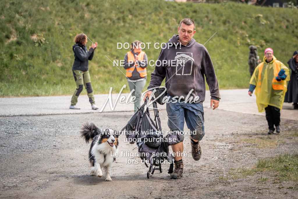 nelerasche_SoZieleinlauf_494 | nelerasche