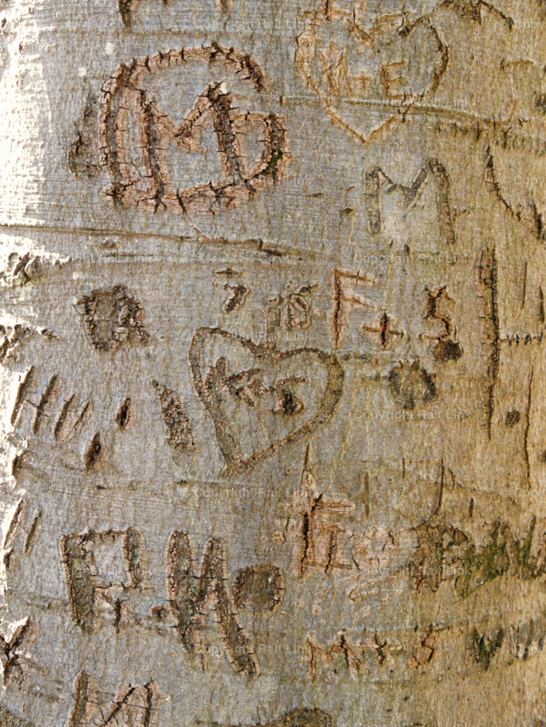 Baumrinde mit Inschrift_02 | Stockfotos, Fotos mit Miniaturfiguren und kreativen Ideen. Dabei auch vieles aus der Metropolregion Rhein-Neckar. 