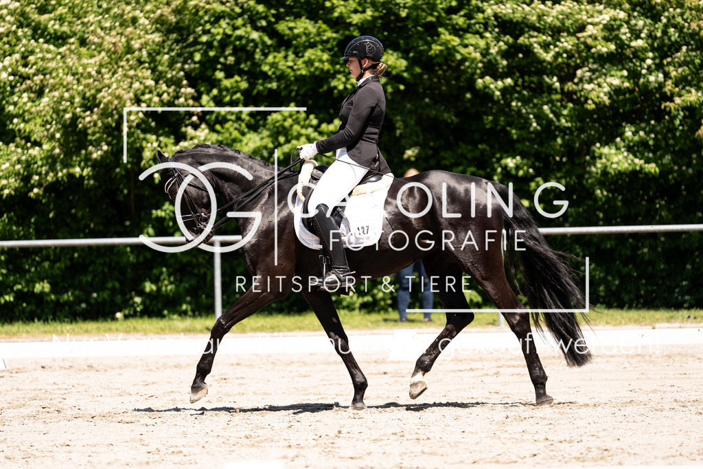 DSC00192 | Carolin Gieschke