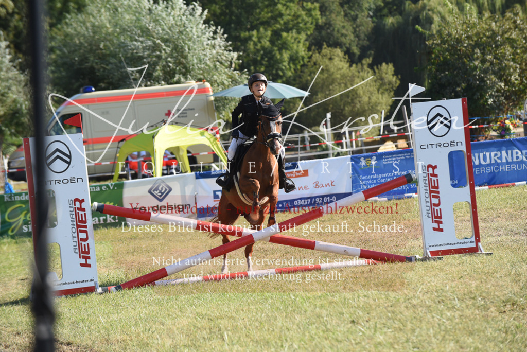 DSC_5690 | Pferde- und Turnierfotografie in Westsachsen. Pferdeportraits, Auftragszeichnungen und intuitive Kunst.