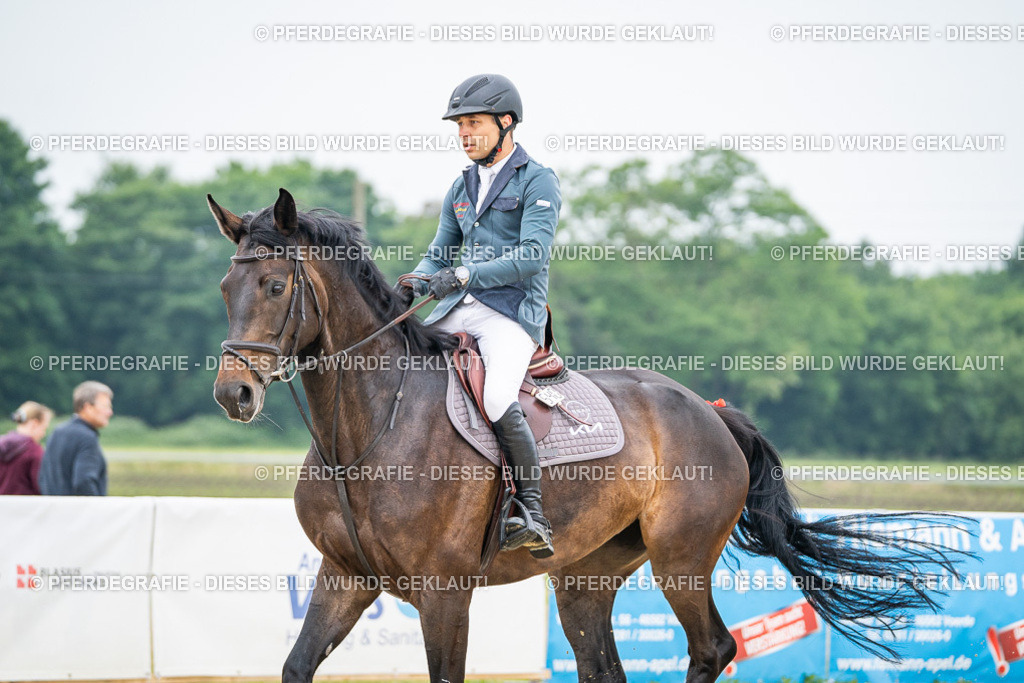 DSC00272 | Pferdegrafie