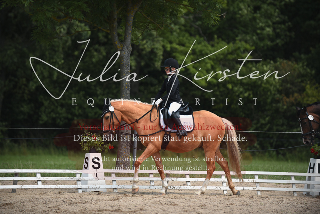 DSC_2411 | Pferde- und Turnierfotografie in Westsachsen. Pferdeportraits, Auftragszeichnungen und intuitive Kunst.