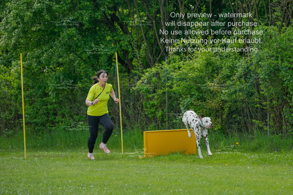 Sa_Laeufe_VK1und2_06-25 | stephaniefillaphotographie - Realisiert mit Pictrs.com
