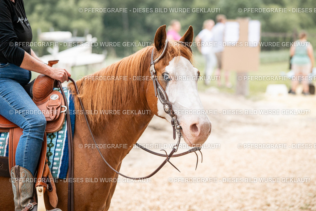 DSC08030 | Pferdegrafie