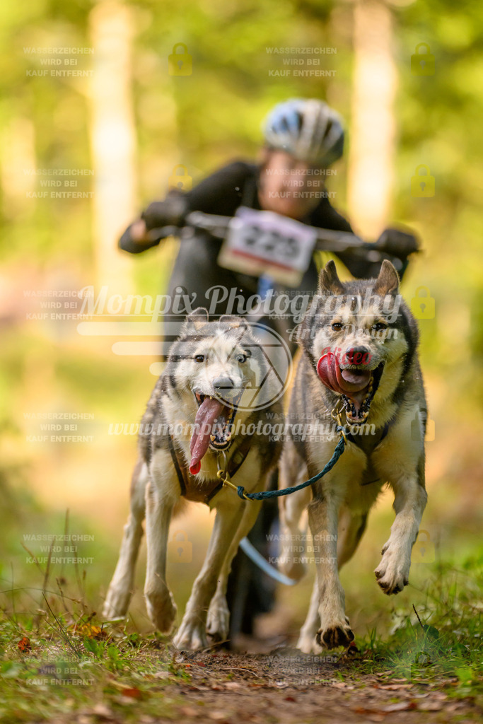 MompixPhotography_Yens2025_B3-225 | PayLife