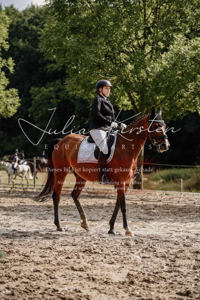 DSC_9079 | Pferde- und Turnierfotografie in Westsachsen. Pferdeportraits, Auftragszeichnungen und intuitive Kunst.