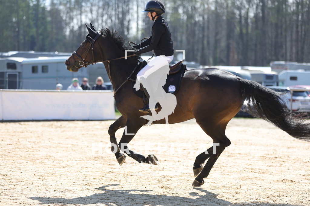0P6A9810 | Willkommen bei Brunnmayr - Design & Fotografie – Ihrem Spezialisten für Reitturniere und Pferdeveranstaltungen in Oberösterreich, Salzburg und Bayern! Seit über 17 Jahren sind wir leidenschaftlich dabei.