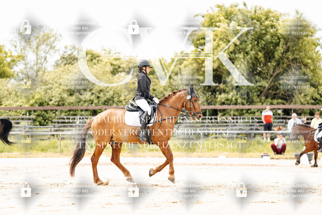 CK902692 | Turnierfotografie Pferdefotografie Trier Rheinland-Pfalz Pferdesport Reitsport Tierfotografie Sportfotografie Pferdevideo Pferdevideografie Equestrianvideography equestrianphotography  - Realisiert mit Pictrs.com