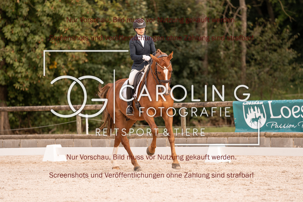 DSC05612 | Turnierfotografin Carolin Gieschke, Turnierfotografie Carolin G Fotografie, Turnierfotos Kirchheim/Teck, Esslingen, Stuttgart, Bodenseekreis