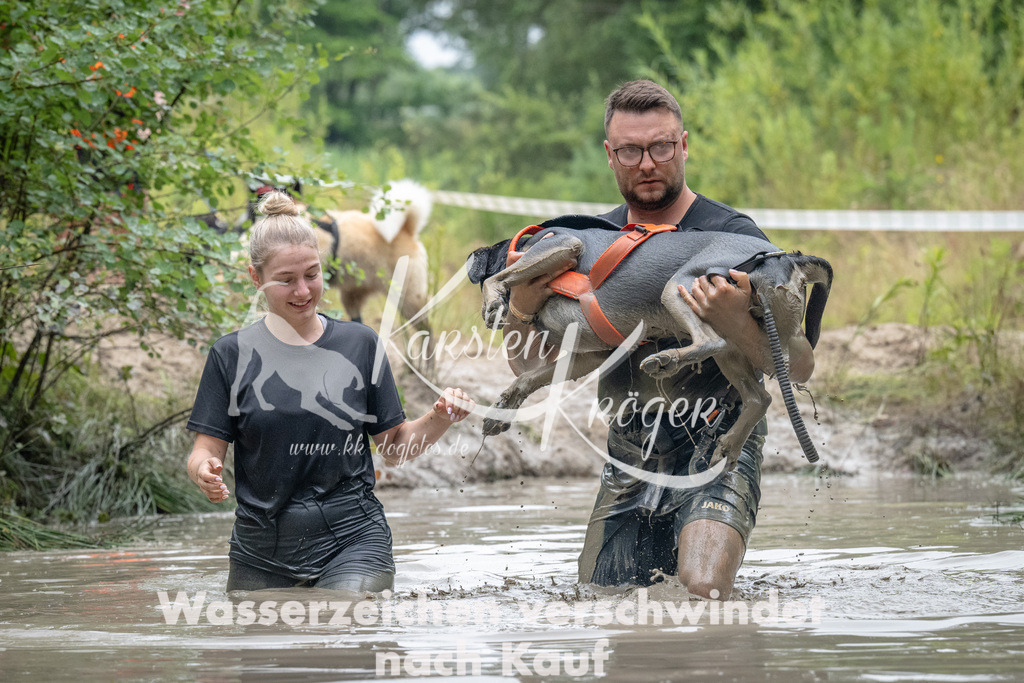 1303_ZZ92461 | kk-dogfotos
