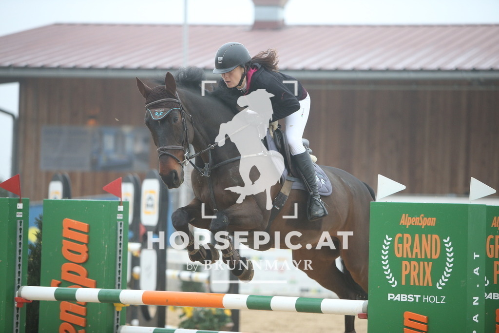 PP012715 | Willkommen bei Brunnmayr - Design & Fotografie – Ihrem Spezialisten für Reitturniere und Pferdeveranstaltungen in Oberösterreich, Salzburg und Bayern! Seit über 17 Jahren sind wir leidenschaftlich dabei.