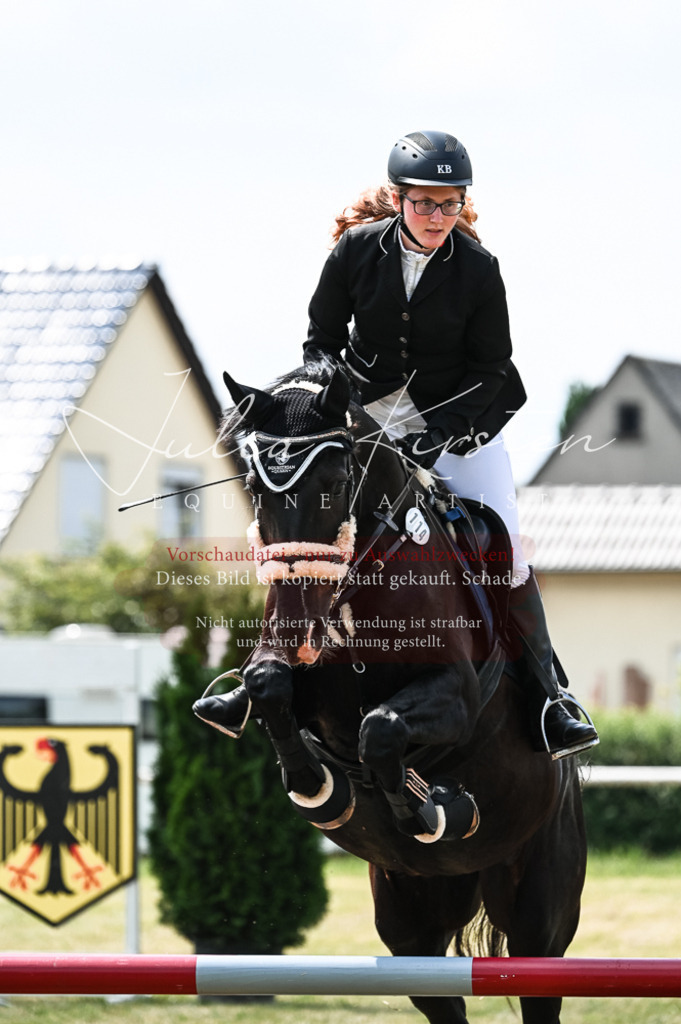 DSC_9128 | Pferde- und Turnierfotografie in Westsachsen. Pferdeportraits, Auftragszeichnungen und intuitive Kunst.