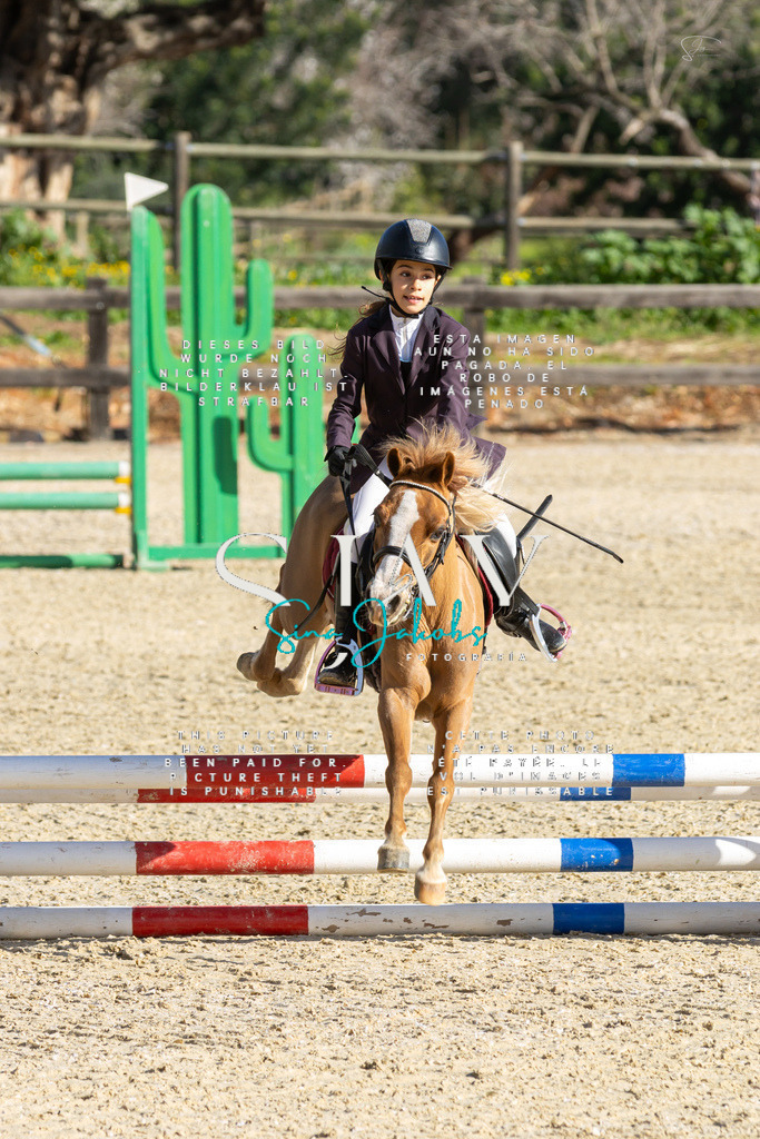 IMG_3488 | s-jay-photography - Realisiert mit Pictrs.com