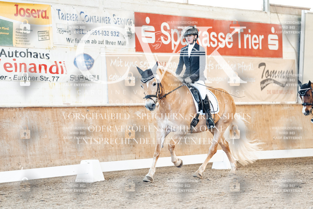 CK907098 | Turnierfotografie Pferdefotografie Trier Rheinland-Pfalz Pferdesport Reitsport Tierfotografie Sportfotografie Pferdevideo Pferdevideografie Equestrianvideography equestrianphotography  - Realisiert mit Pictrs.com