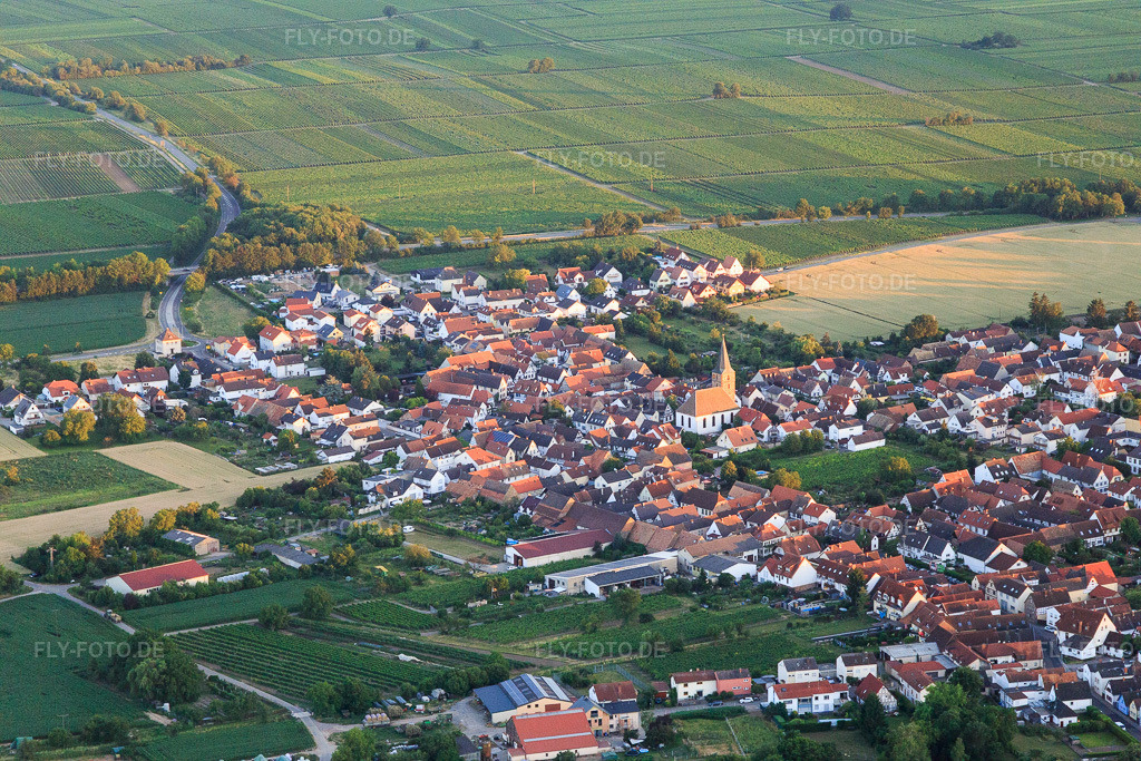Luftbild: Ortsansicht von Südwesten im Ortsteil Lachen in Neustadt im Bundesland Rheinland-Pfalz in Deutschland.Foto: IMG_115656.jpg vom 29.06.2019 durch Werner Riehm/FLY-FOTO.deAuflösung des Originals: 5472 x 3648 px