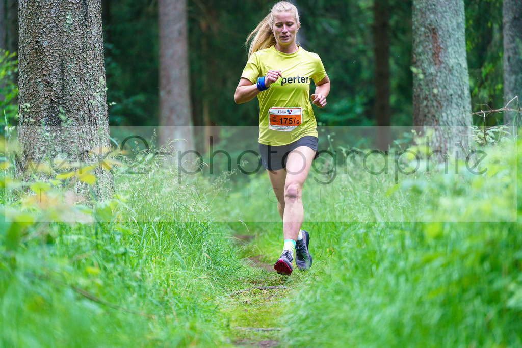 Rennsteig-Staffellauf | 24. Staffellauf - 22.06.2024 von Hörschel nach Blankenstein